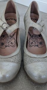 brako anatomicas, 39